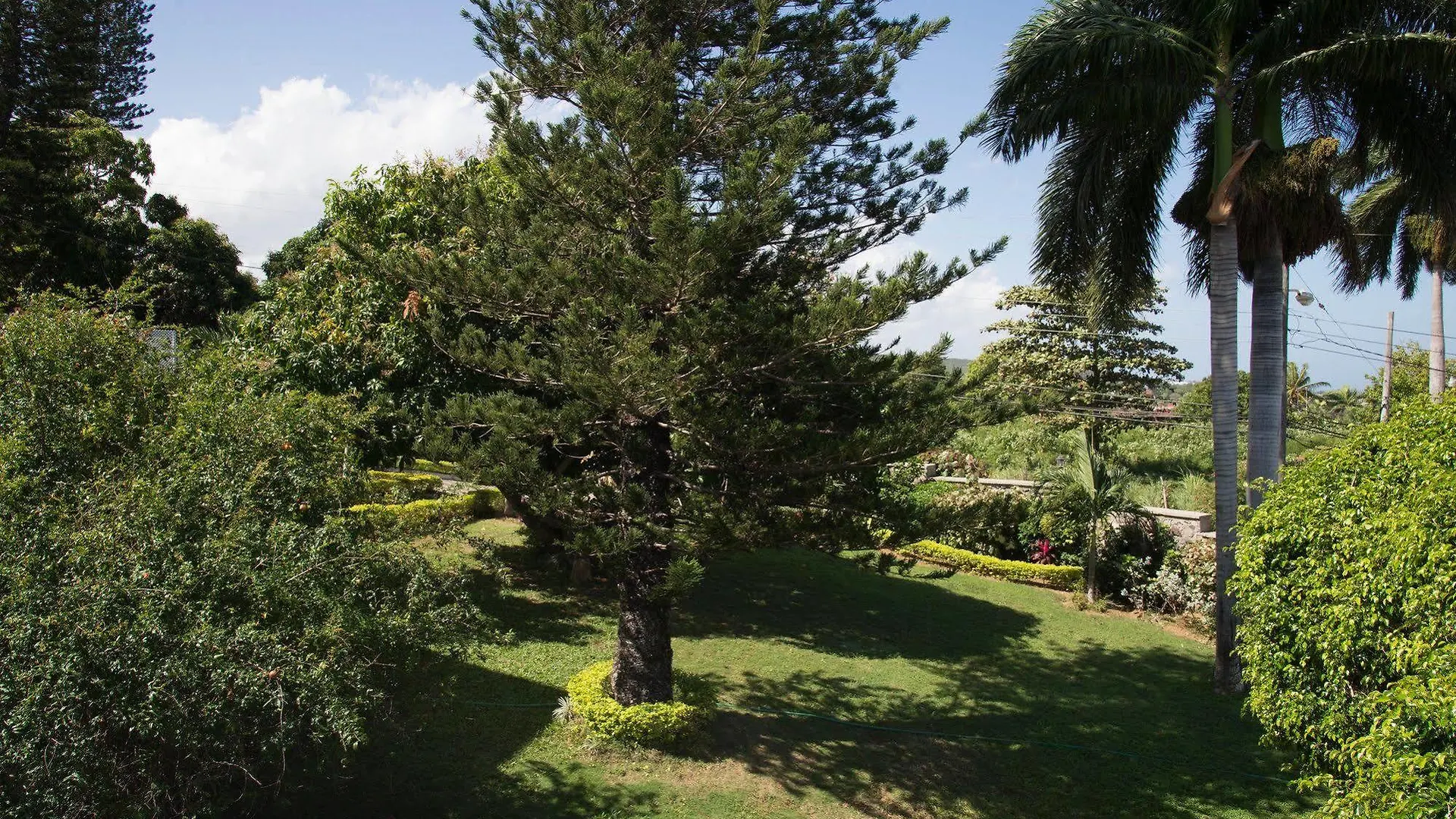 Hatfield South Villa Montego Bay